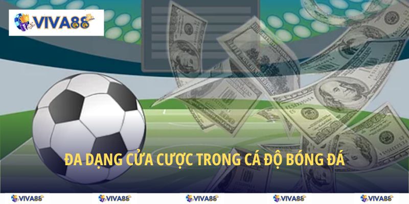 Đa dạng cửa cược trong cá độ bóng đá