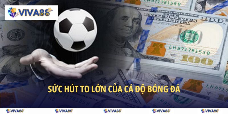 Sức hút to lớn của cá độ bóng đá