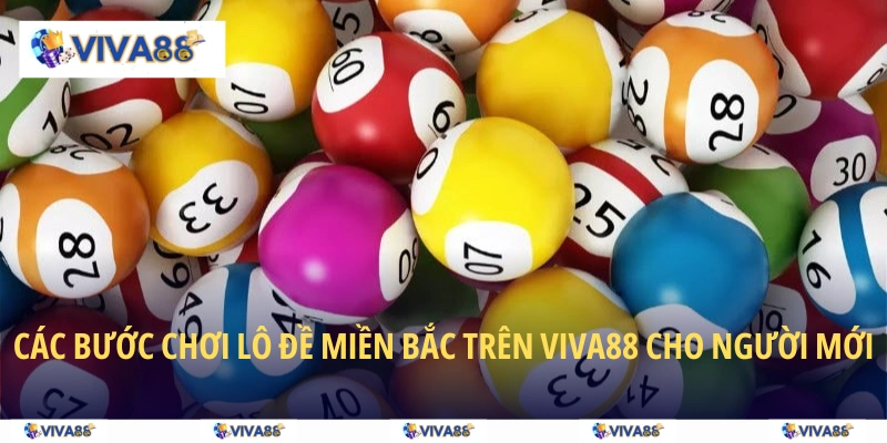 Các bước chơi lô đề miền Bắc trên VIVA88 cho người mới