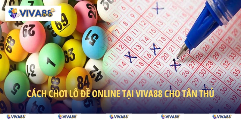 Cách chơi lô đề online tại VIVA88 cho tân thủ