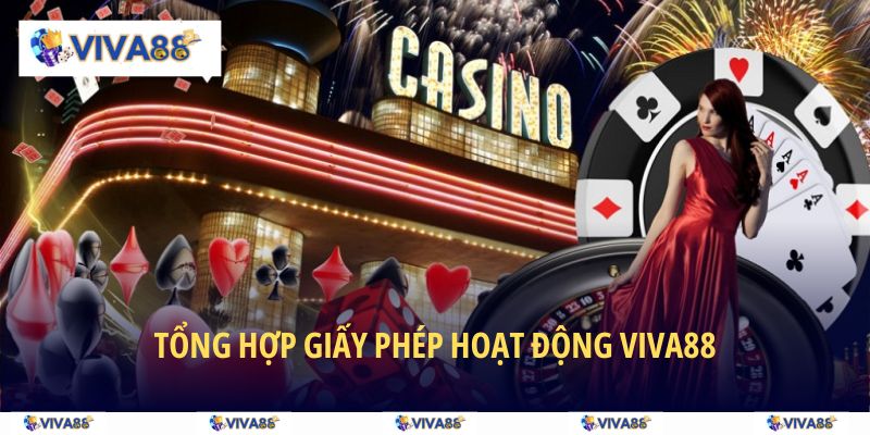 Tổng hợp các giấy phép tại VIVA88