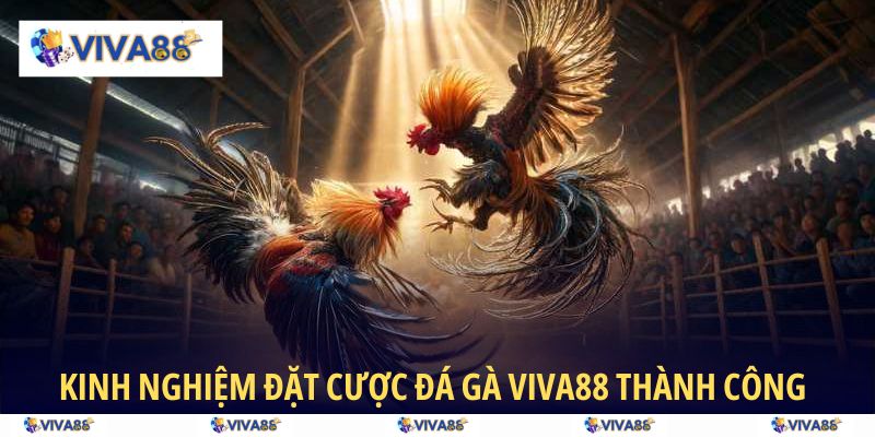 Hé lộ mẹo giúp bạn đặt cược Đá Gà VIVA88 thành công
