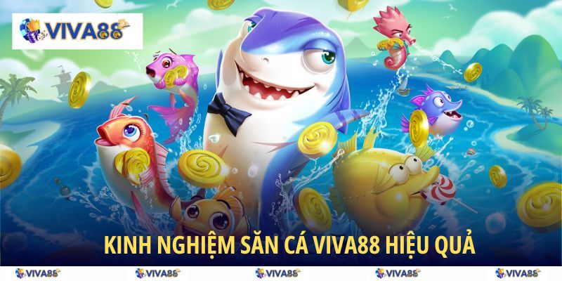 Kinh nghiệm săn cá VIVA88 hiệu quả