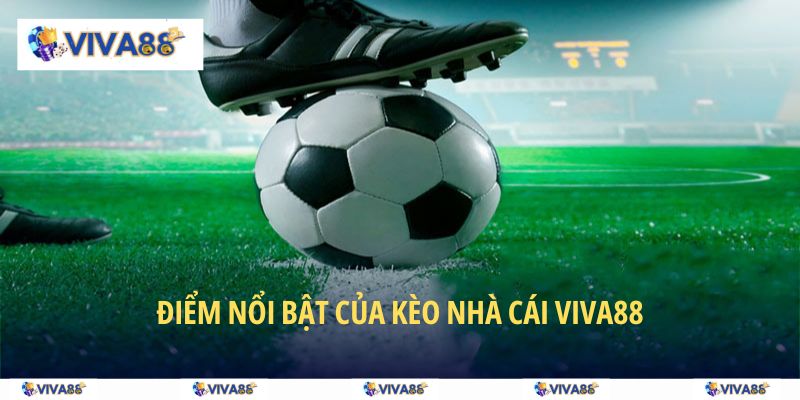 Nét ưa chuộng của kèo nhà cái hôm nay