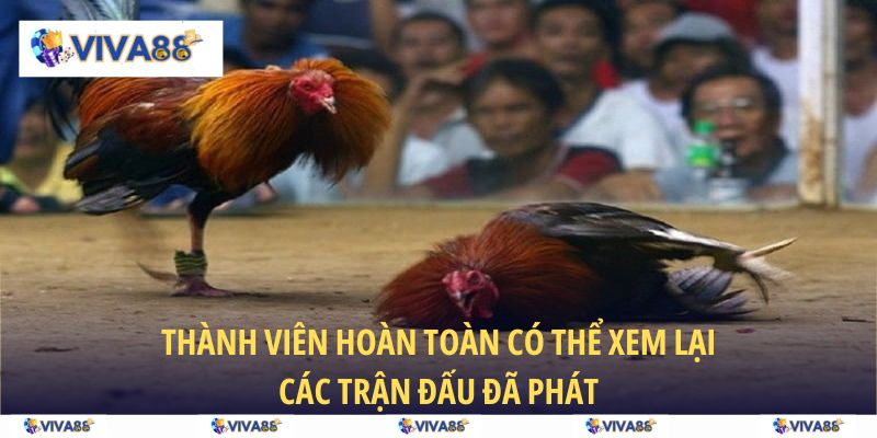 Thành viên hoàn toàn có thể xem lại các trận đấu đã phát